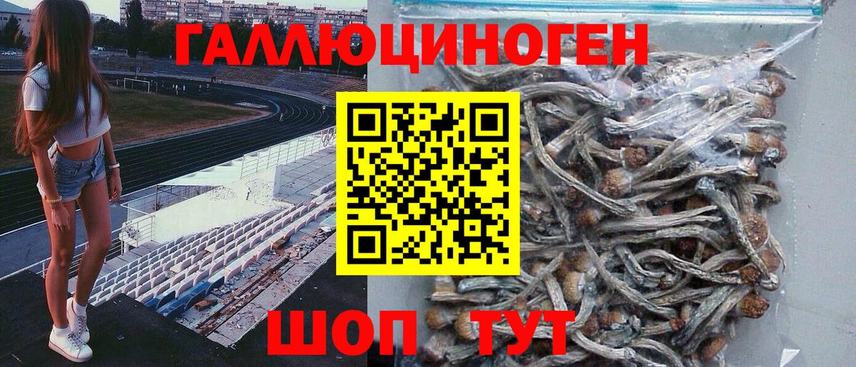 Анжеро-Судженск  Галлюциногенные грибы мицелий  Вход с VPN 